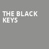 The Black Keys, Bridgestone Arena, Nashville