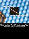 David Gray 