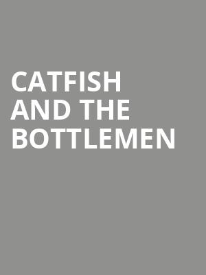 Catfish And The Bottlemen Poster