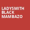 Ladysmith Black Mambazo, Schermerhorn Symphony Center, Nashville