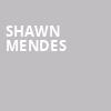 Shawn Mendes, Bridgestone Arena, Nashville