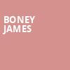 Boney James, Schermerhorn Symphony Center, Nashville
