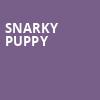 Snarky Puppy, Ryman Auditorium, Nashville